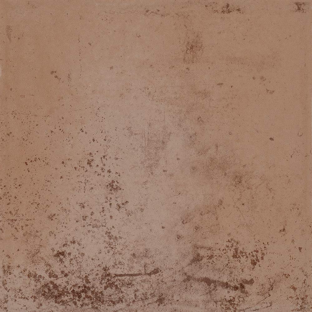 Cot Di Mir Sunglow (Feb-15)